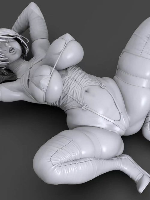 Silver Lady Flesh Girl I 16 Unpainted GK Ryuseimaru Studio 8 1